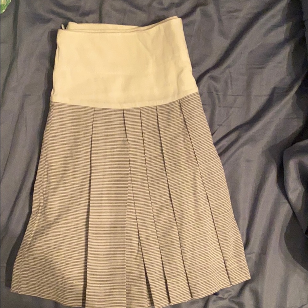 Pleated Skirt